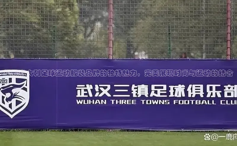 星空综合体育APP下载百度游戏探寻意大利足球运动服装品牌的独特魅力，完美展现时尚与运动的结合