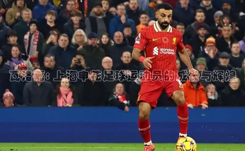 星空·综合体育中海达瓦洛嘉: 上海申花足球运动员的成长与辉煌