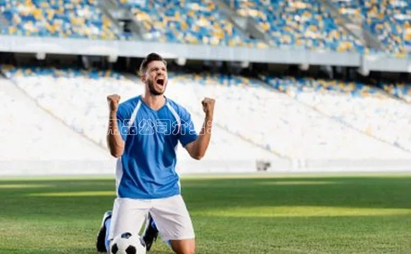 星空综合体育网页版登录小度商城巴西足球运动用品公司介绍：优质足球装备供应商解析