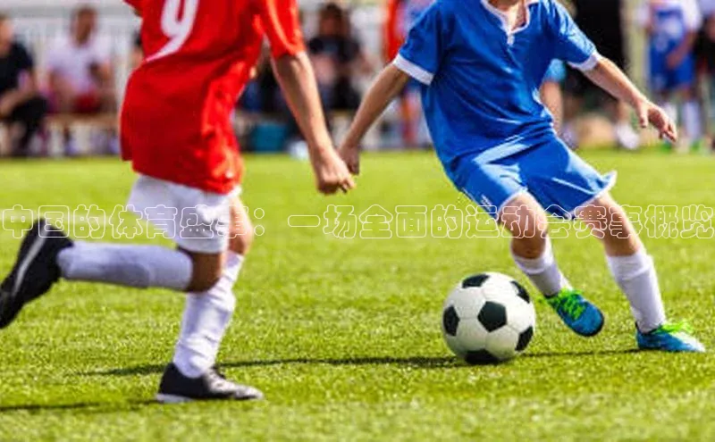 星空体育在线网页版APP下载皮阿诺中国的体育盛事：一场全面的运动会赛事概览