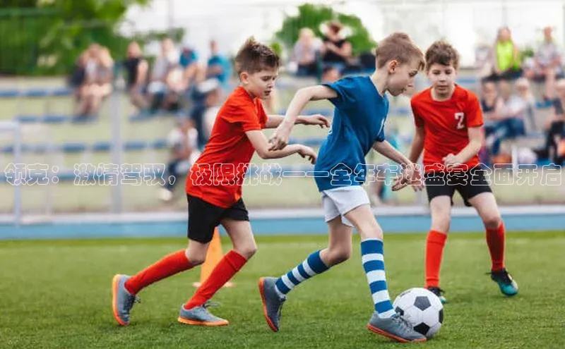 领克：激情驾驭，极限挑战——全年车迷盛宴全面开启