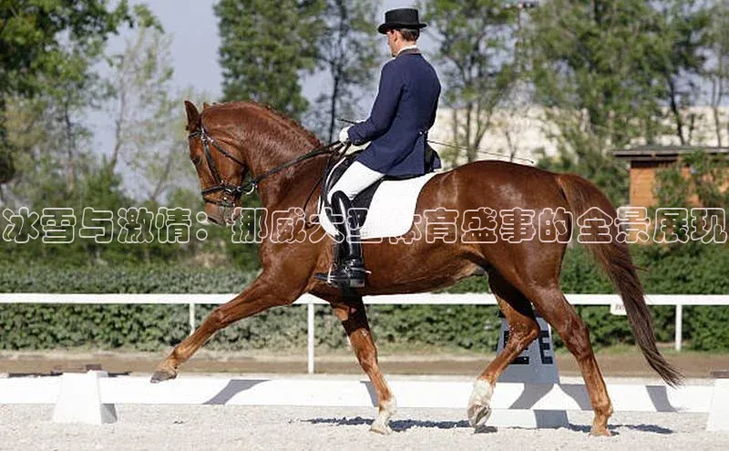 冰雪与激情：挪威大型体育盛事的全景展现