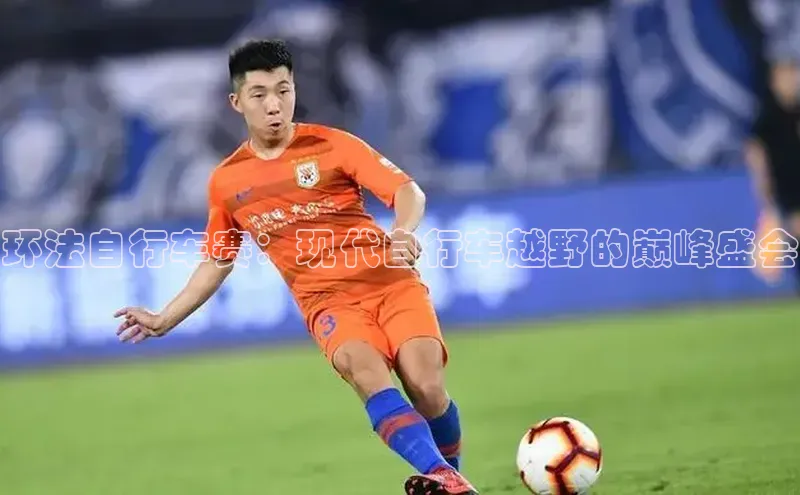 环法自行车赛：现代自行车越野的巅峰盛会