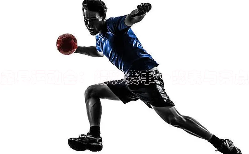 蠡县运动会：精彩赛事一览表与亮点