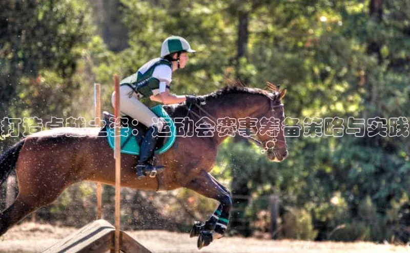 打造卓越之姿：运动会赛事筹备策略与实践