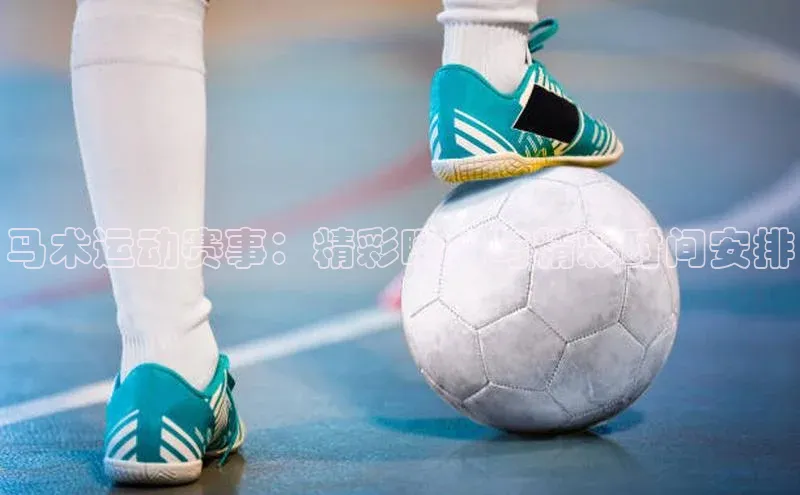 马术运动赛事：精彩瞬间与精彩时间安排