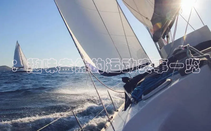 ：趣味盎然的运动赛事一览