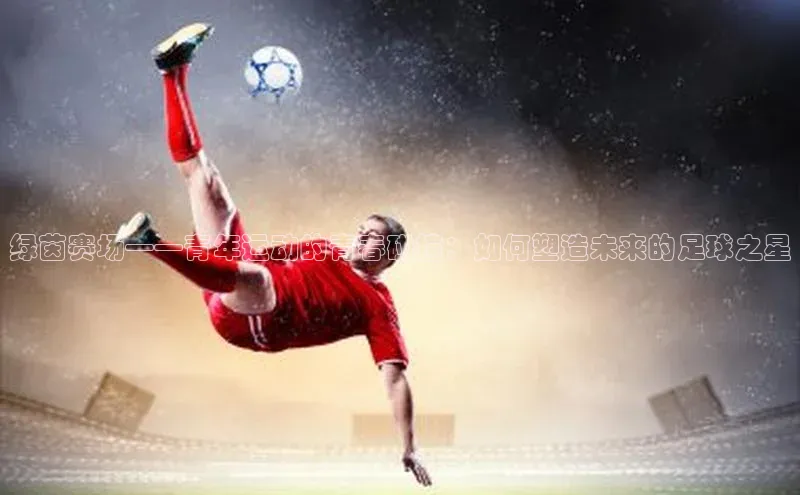 绿茵赛场——青年运动的青春碰撞：如何塑造未来的足球之星