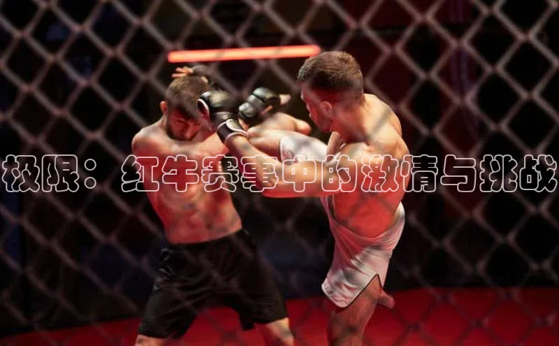 极限：红牛赛事中的激情与挑战