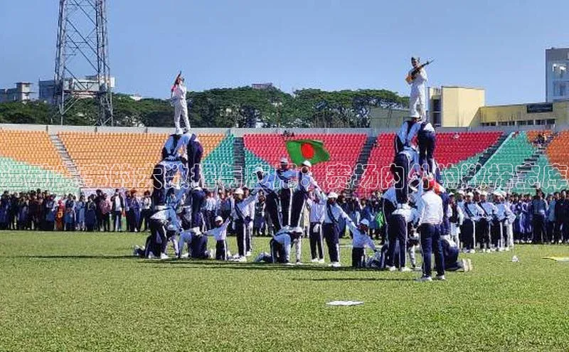运动赛事的大数据与应用：赛场内外的数据宝库