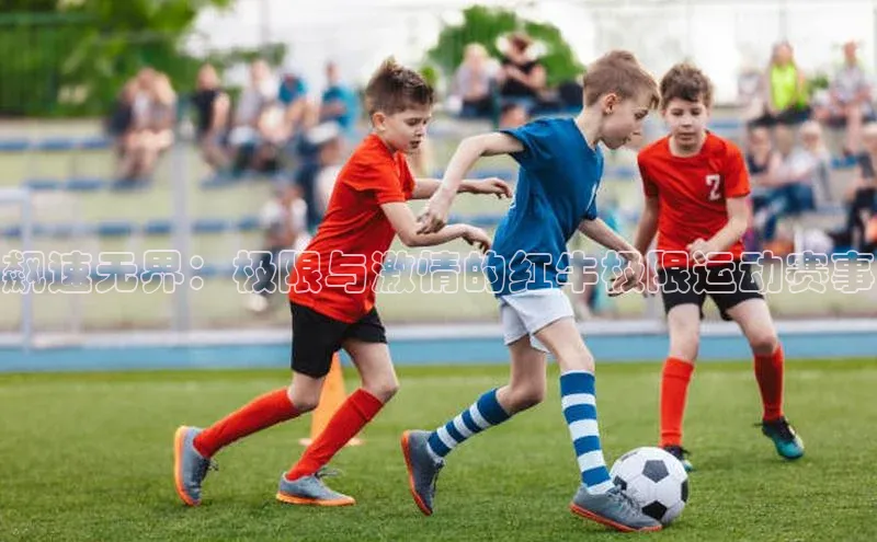 飙速无界：极限与激情的红牛极限运动赛事