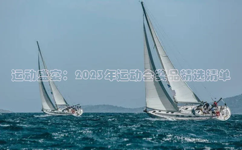 运动盛宴：2023年运动会奖品精选清单