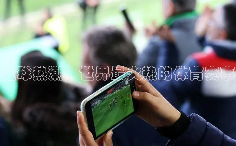 全球热潮：世界最火热的体育赛事