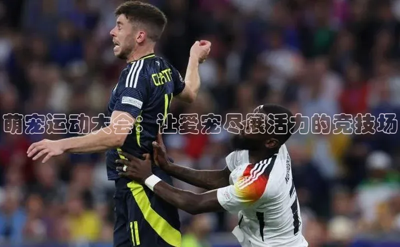 萌宠运动大会：让爱宠尽展活力的竞技场