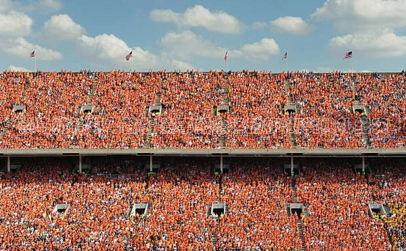 赛马精神颂：首届\'赛事纪念运动杯\'颁奖典礼纪实